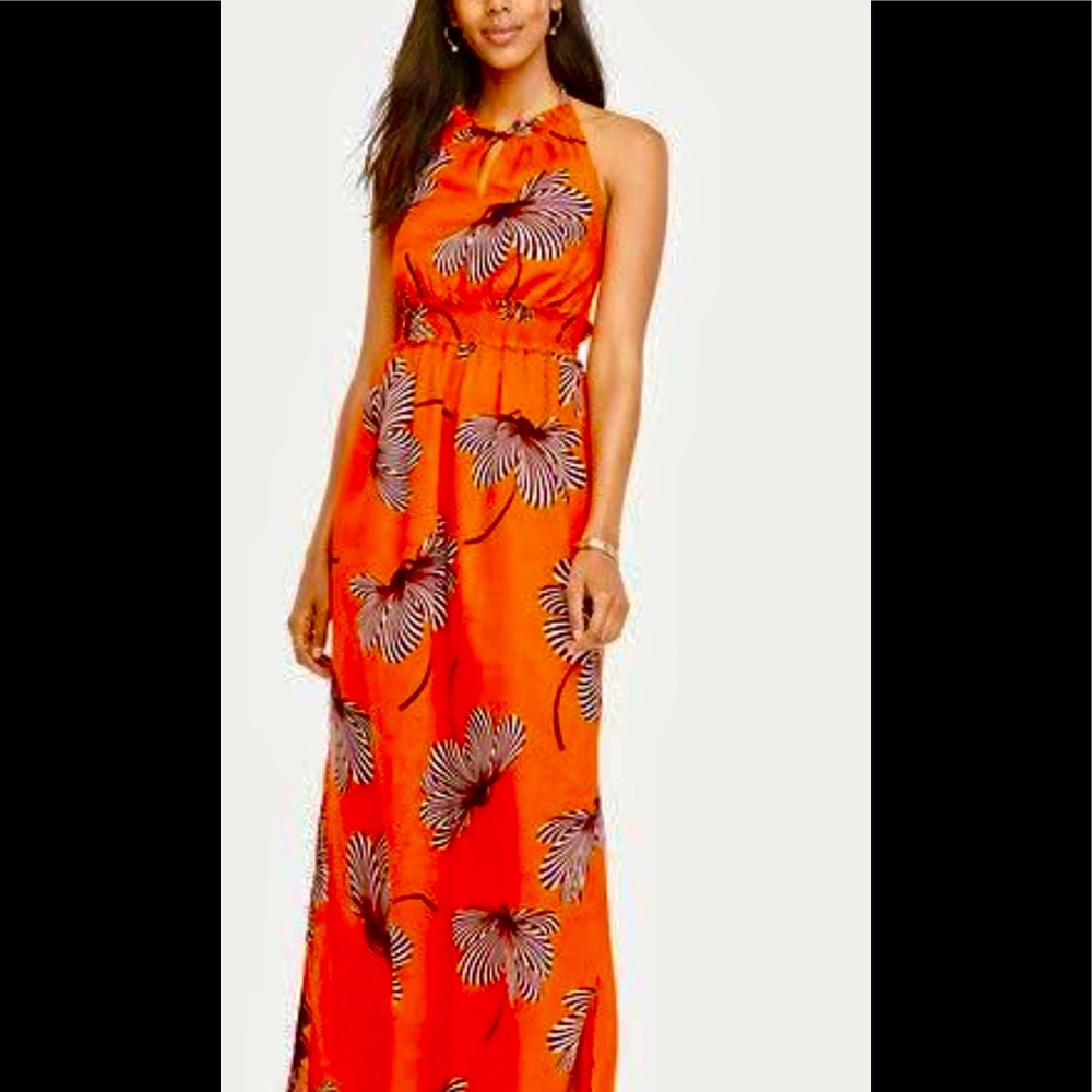 New dress an. Taylor